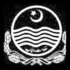 Government of Punjab client logo